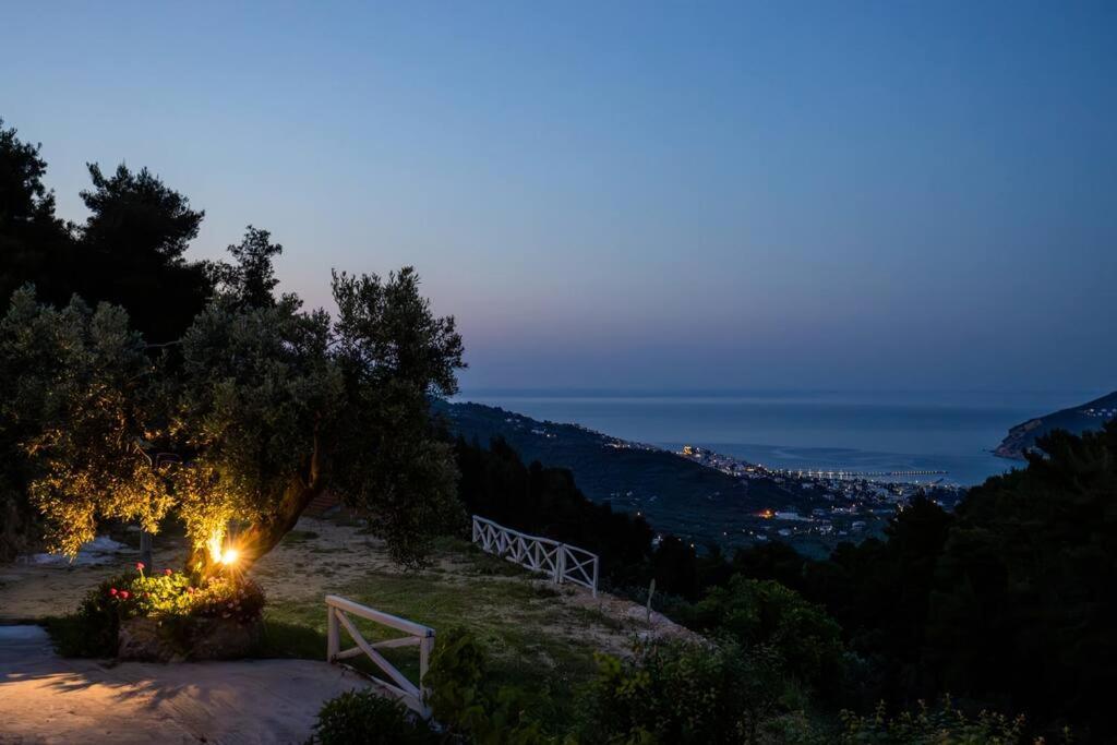 Villa Koukounaria 스코펠로스 타운 외부 사진