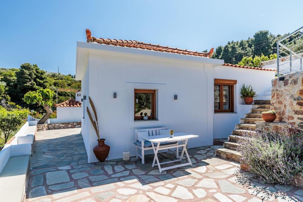 Villa Koukounaria 스코펠로스 타운 외부 사진